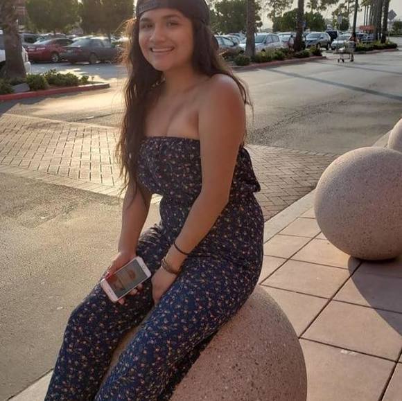 mollywagemann